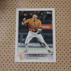 Mauricio Dubon #246 Baseball Card